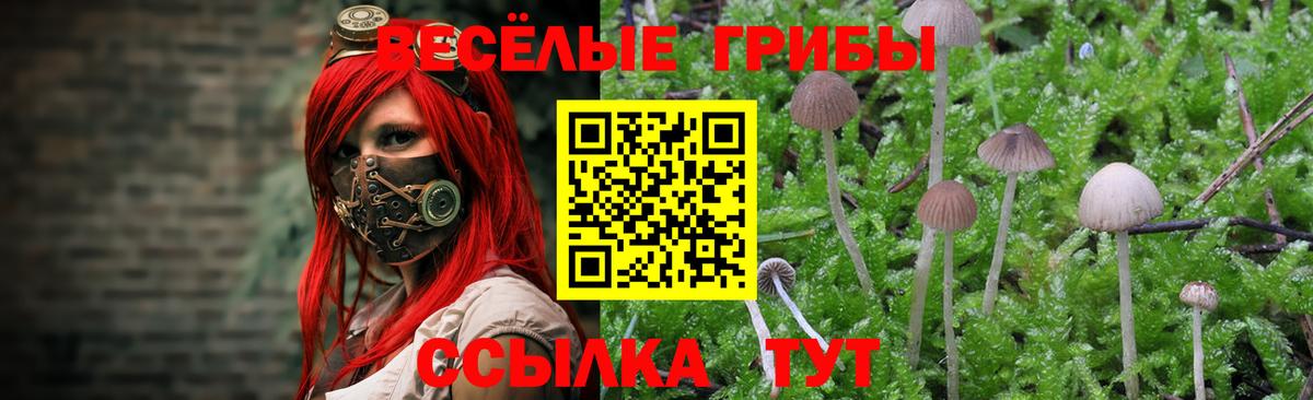 Псилоцибиновые грибы мухоморы  Вход с VPN  Псилоцибиновые грибы ЛСД  Качканар 